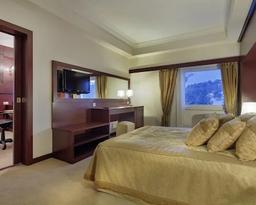 Palan Ski & Convention Resort Hotel