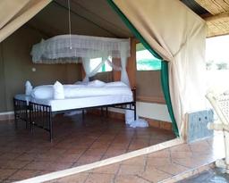 Zebra-Kemang`ore Bush Tented Lodge