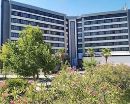 Buyuk Saruhan Hotel
