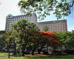 Hyatt Regency Harare, The Meikles