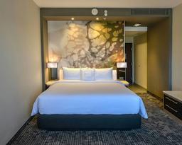 Courtyard by Marriott San Luis Potosi, Los Lagos